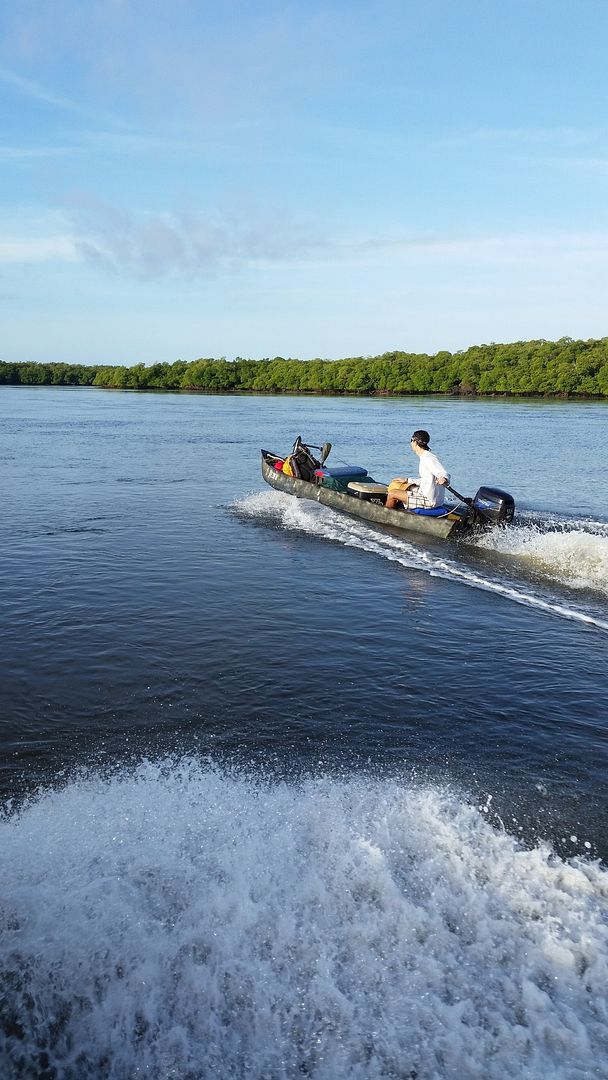 Salt Marsh 1444V Dedicated To The Smallest Of Skiffs